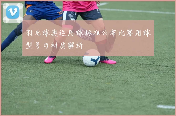 羽毛球奥运用球标准公布比赛用球型号与材质解析