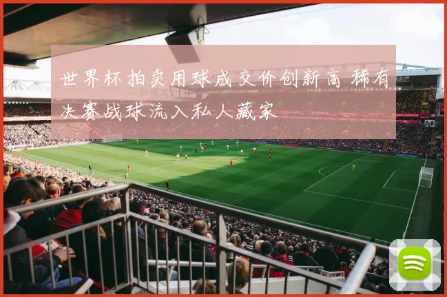世界杯拍卖用球成交价创新高 稀有决赛战球流入私人藏家