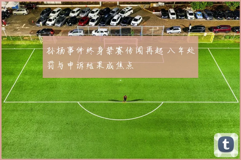 孙杨事件终身禁赛传闻再起 八年处罚与申诉结果成焦点