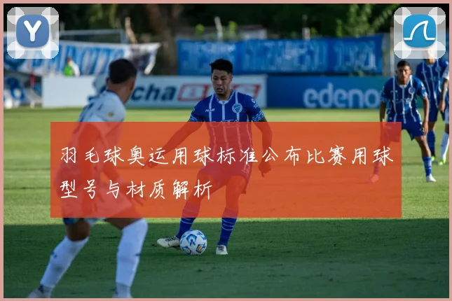 羽毛球奥运用球标准公布比赛用球型号与材质解析