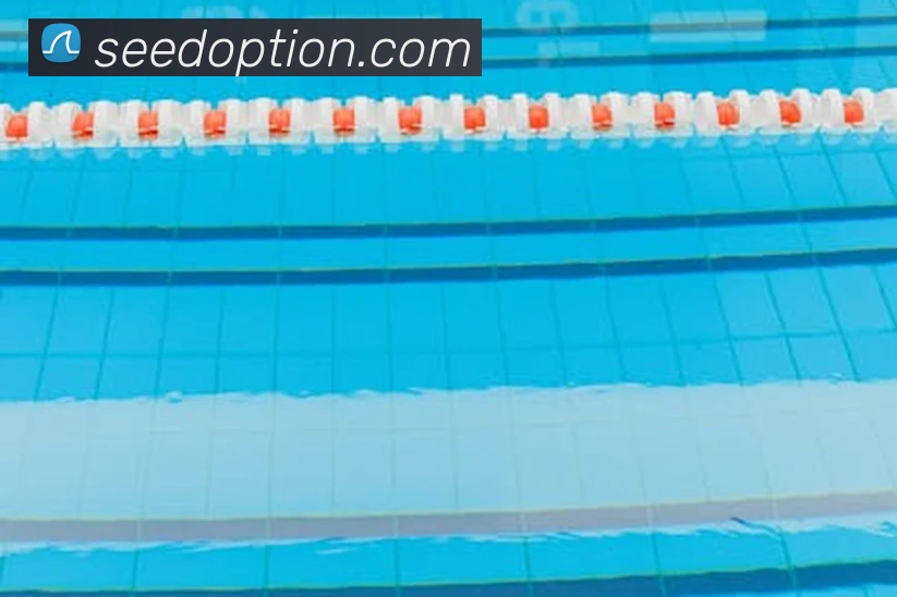 完美体育首页官网品牌故事