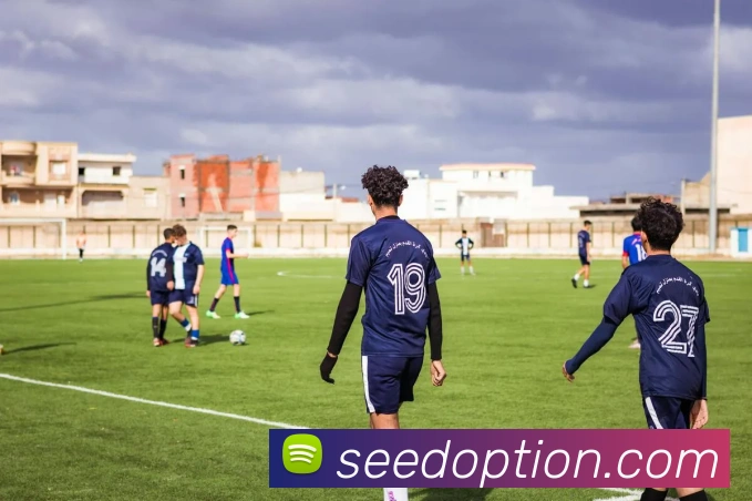 完美体育首页官网服务体系