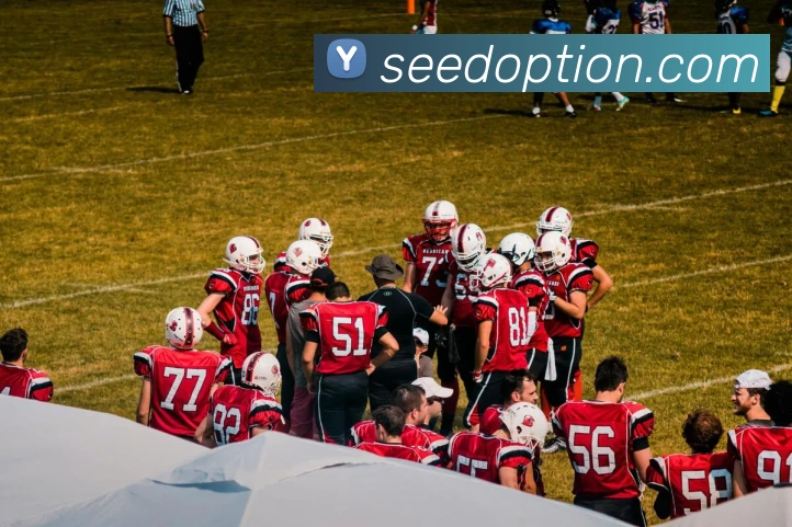 多媒体互动体验