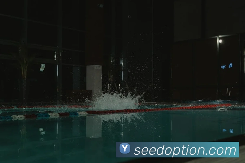 完美体育首页官网APP 体育赛事宣传图